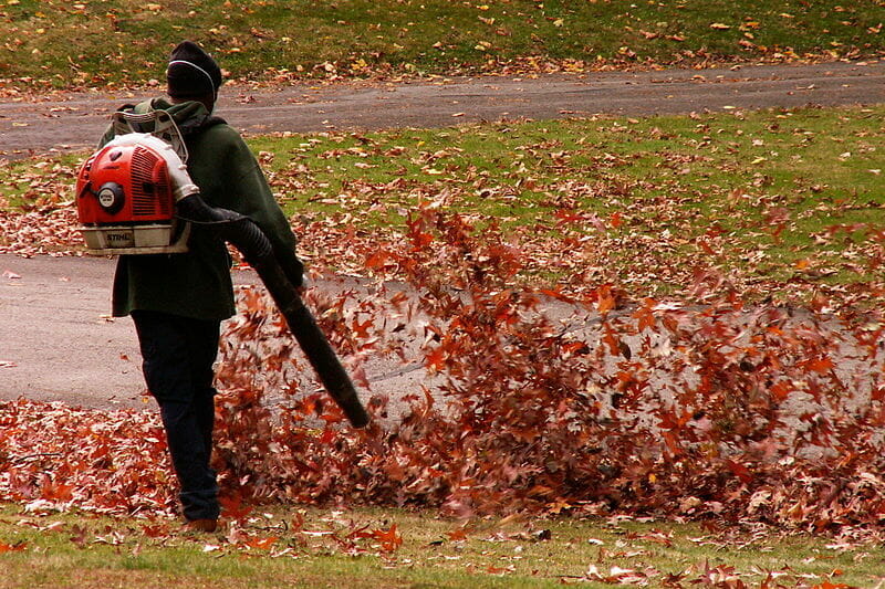 Macon, Georgia Health Hazards of Leaf Blowers Lawyer